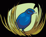Bluebirds are symbols of joy and spiritual content.  Seeing one is said to be a forteller of happiness to come.  May this one bring you such good fortune.